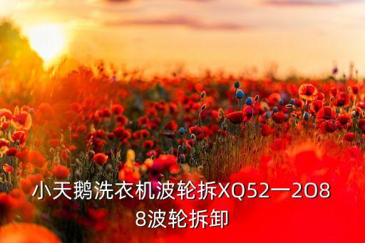 小天鵝洗衣機如何拆洗維修，求助小天鵝全自動洗衣機皮帶輪怎么拆...